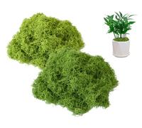 Anlising 300g Mousse Artificielle, Vert Fausse Mousse, Mousse de Renne Artificielle, Mousse Décorative, Mousse Stabilisée, Plantes Artificielles, pour Fleuriste, Décoration Murale, Travaux Manuels