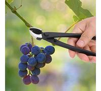 Annadue branche Concave de bonsaï forgé à la Main, Cisailles de Jardinage avec Action à Ressort, Ciseaux d'élagage pour Modeler les Bonsaïs, Couper les Branches, Entretien du Jardin