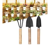 Annadue Ensemble de Mini Outils de Jardinage pour Plantes 3 Pièces - Petite Pelle à Râteau pour Pots de Fleurs, Plantes en Pot d'intérieur, Transplantation - Outils à Main en Métal Véritable pour