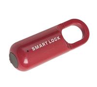 Annadue Serrure à Empreinte Digitale, Cadenas de sécurité sans vec Cadenas à Empreinte Digitale Rechargeable par USB, Serrure électrique Antivol pour Bagages, Porte de Voyage, Tiroir d'armoire