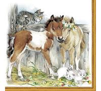Anniversary House Tiflair Lot de 20 serviettes de table 3 plis Motif chatons et poulains 33 x 33 cm Chevaux
