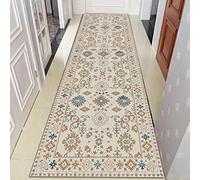 ANram Tapis de Couloir Antidérapant Lavable Longue Moquette,0.8m x 1m
