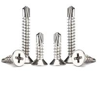 ANSIEDIO Vis Autoforeuse - Vis à Tôle Auto-Perceuses à Tête Phillips Plate Vis Inox M5.5×19mm,20 pcs
