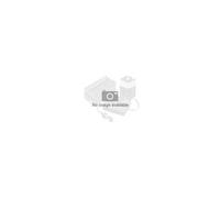 Ansmann A-Can NB 10 L