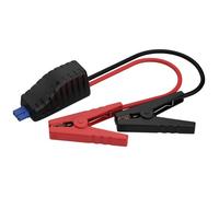 Ansmann Powerstation Jumpstart Adapter PS600AC PS2200AC Câble de démarrage 8.37 mm² ABS, PVC 0.50 m avec pinces en plastique