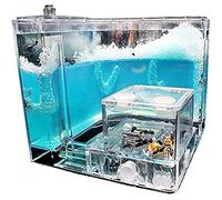 Ant Farm Castle Kit d'élevage de fourmis en gel translucide