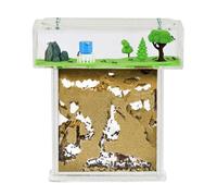 Ant Farm T with Free Ants and Queen - Educational formicarium for Live Ants