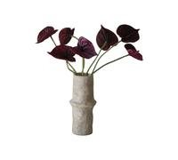 Anthurium Bouquet Purple