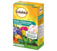 Anti-chlorose Ferrostrène Premium - 120 g