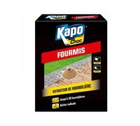 Anti fourmis Kapo choc 250g
