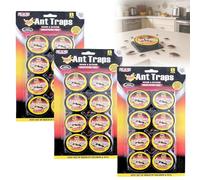 Anti Fourmis, Piège Fourmis Intérieur, Boîte Anti Fourmises, Piège à Fourmis Efficace et Sûr, Prêt à l'emploi, pour la Cuisine, la Maison et Le Stockage (24 PCS)