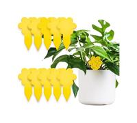 Anti Moucherons Interieur - 20 Pièges - Attrape Mouche De Plantes - écologique - Tres Efficace - Utilisation Facile - Jusqu'à 3 Mois