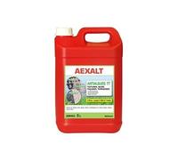 Anti-mousse toitures et terrasses 5 L ANTIALGUES TT