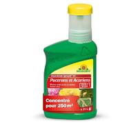 Anti-Pucerons Spruzit Concentré, 250 ml - Traitement contre pucerons pour plantes ornementales et fleurs, insecticide biologique a