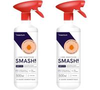 Anti Punaise de lit Spray - 2x500ml - Produit Anti Punaise de lit Prevention - Insecticide Punaise de Lit pour Matelas