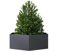 ANTI-UV Jardinière pour Plantes, Pot de Fleur Jardin, anthracite hexagone 138x120x45 cm acier J3068AS3068EU