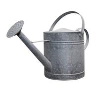 Antikas - Arrosoir en zinc, XL, gris argenté, carafe décorative, parterre de fleurs.