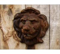 Antikas - Bec d'eau en forme de tête de lion pour fontaine murale - Fontaine - Décoration murale