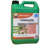 Antimousse Préventif/Curatif DALEP Bidon de 5 Litres BATIMOUSTE PE - 130005