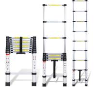 Aopunly 2,6m argent Echelle télescopique en aluminium Echelle double Echelle d'appui Echelle multi-usage Echelle pliante