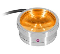 Ape Labs Ape Labs ApeCoin V2 IP Set of 2