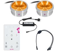 Ape Labs Ape Labs ApeCoin V2 IP Set of 2