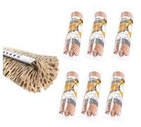 Apex Recharge Éponge Squizzo Classic 32 cm, Lot de 6