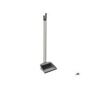 Apex Regina Pelle à poussière et brosse avec long manche - Chrome/Gris