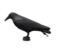 APGLSXY Leurres de chasse en forme de corbeau à plumes noires