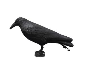 APGLSXY Leurres de chasse en forme de corbeau à plumes noires