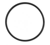 APPLIAFIT Joint torique compatible avec Hayward DEX2400K pour filtre micro transparent DE, filtre à cartouche Super Star transparent, filtre à cartouche SwimClear et filtres Pro-Grid DE (lot de 1)