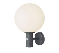 Applique d'extérieur anthracite boule lampe applique murale de maison LED étanche, détecteur de mouvement verre acier inoxydable, LED 7W 806lm 2700K blanc chaud, DxH 25x37 cm