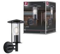Paulmann Applique murale extérieure Wall Classic 1x15 W IP44 Noir-transparent 94398