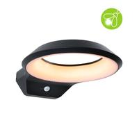 Applique d'extérieur LED Anela Détecteur de mouvement crépusculaire (IR) favorable aux insectes IP44 245x309mm 2200K 12W 700lm 230V Anthracite Aluminium Anthracite G