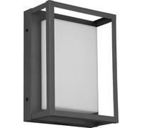 Applique d'extérieur LED WITHAM anthracite 10 W, nuances de blanc, 1 100 lm, métal, dim. : 24 x 18 x 10 cm, IP54, Trio