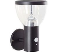 BRILLIANT Applique murale extérieure solaire noire TULIP | in tecteur de mouvement | 3W 430 lm 3000 K | Acier inoxydable/plastique