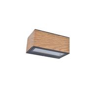 Applique extérieure LED Gemini Lutec anthracite IP54