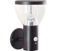 Applique Extérieure LED Solaire Détecteur de Mouvement, BRILLIANT TULIP, Acier Inoxydable et Plastique, 4W, Noir
