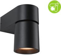 Applique murale d'extérieur Paulmann LED Kimu respectueuse des insectes