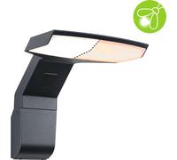 Applique murale d'extérieur Paulmann LED Zenera respectueuse des insectes et résistante à l'eau de mer