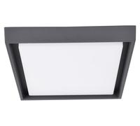 Applique murale extérieure LED Applique murale extérieure Plafonnier Anthracite 1276797