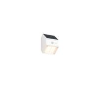 Applique murale extérieure solaire LED 3W blanche orientable avec détecteur PIR TALCA
