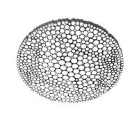 Applique/ Plafonnier Artemide CALIPSO Blanc 2700K Artemide APP