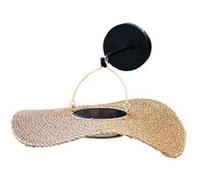 Applique murale solaire coralia 100lm