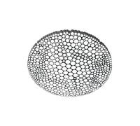 Applique/ Plafonnier Artemide CALIPSO Blanc 2700K Artemide APP