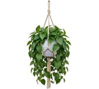 APREGGIO Jardinière suspendue en macramé, beige