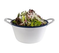APS 84959 Bol « ENAMEL LOOK », corbeille à fruits, saladier, 1 litre, 21,5 x 16,5 cm, hauteur 9,5 cm, mélamine, blanc avec bordure bleue