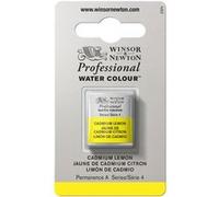 Aquarelle Professionnelle Extra-Fine - 1/2 Godet - Jaune De Cadmium Citron - Winsor Et Newton