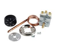 Aquastat De Régulation À Bulbe - Standard Type Ab 150 Cap 1