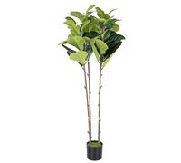 aqxreight Ficus Artificiel, 1,80 M, Décoration D'intérieur | Feuilles réalistes, Entretien nécessitant peu d\'entretien, Matière plastique, Décoration polyvalente